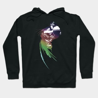 Final Fantasy 8 VIII Rainbow Logo Hoodie